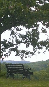 View from a quiet spot at the St. John's XXIII Pastoral Center