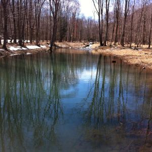 The late winter sun reflects off of one of the 14 ponds on the property of Joao Barroso