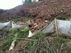 Failed Erosion Control Photo by Autumn Bryson