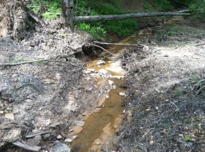 Failed Erosion Control Photo by Autumn Bryson