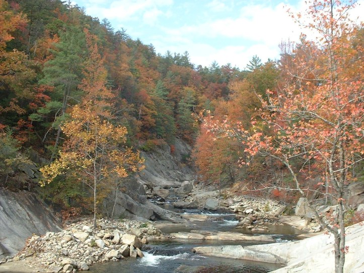 Wilson Creek 4 [Gorge]